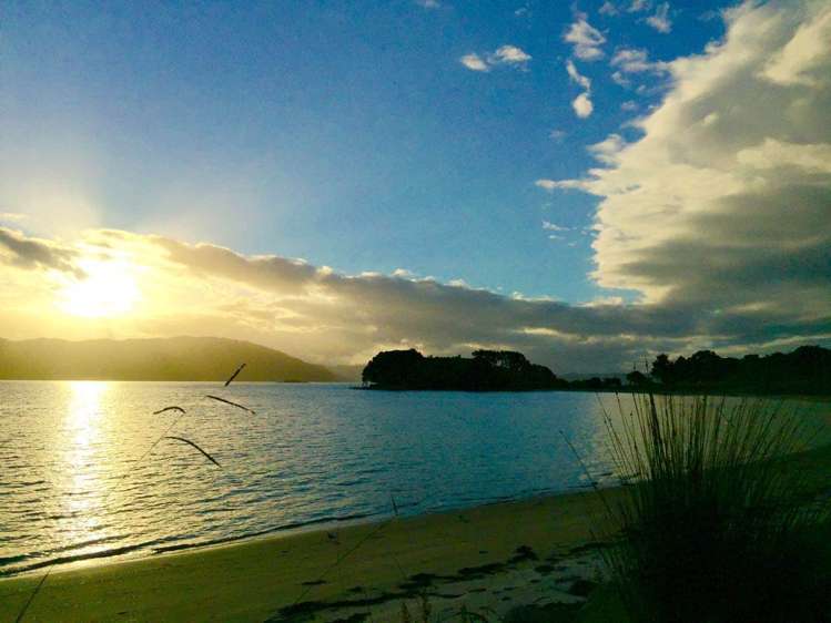 190 Pacific Ocean, Slipper Island (Whakahua) Thames_20