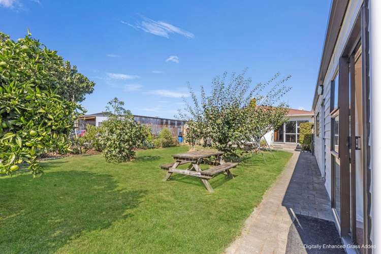 84 college street Motueka_18