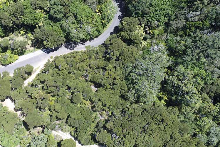 174 Shoal Bay Road Great Barrier Island (Tryphena)_13