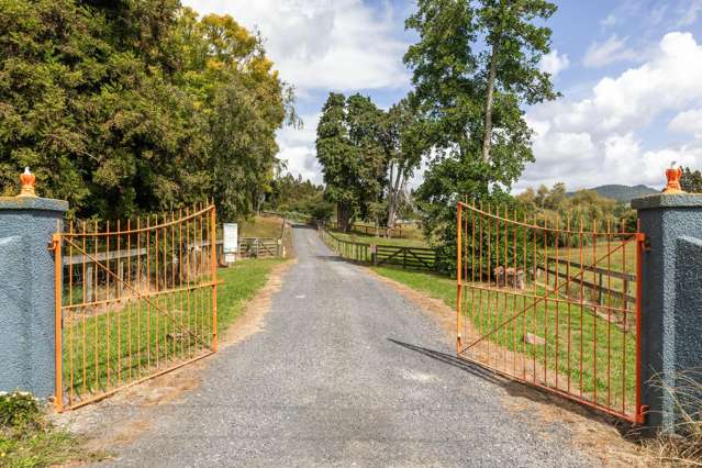 36 Frankton Road Waihi_3