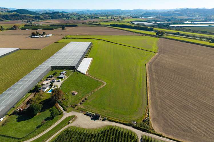 Lot 4 Judd Road Patutahi_14