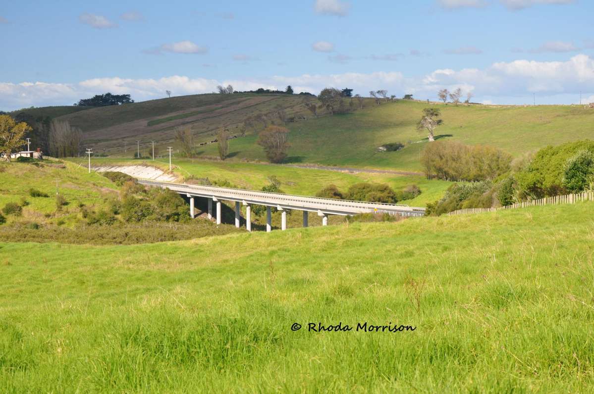 113 Te Rawhiti Road_4