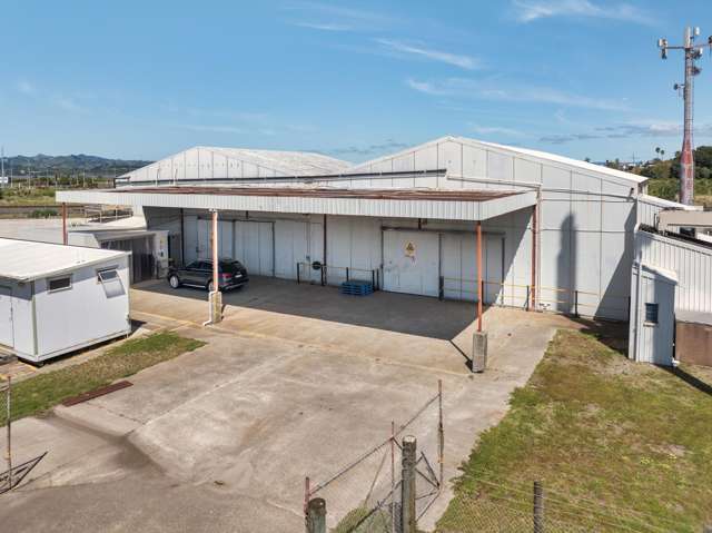 Tenancy 3/8 Titoki Place Mt Maunganui_3