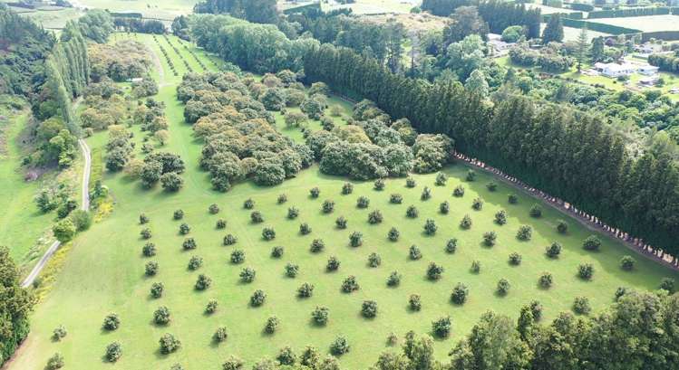 168 No 1 Road Te Puke_1