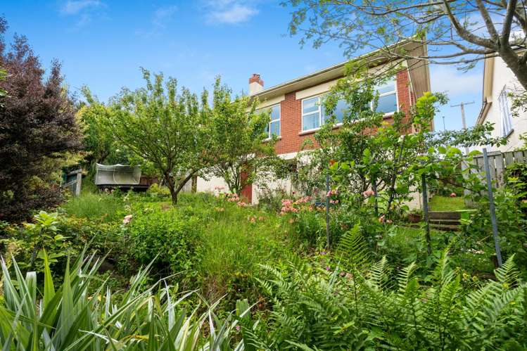 49 Silverton Street Andersons Bay_11