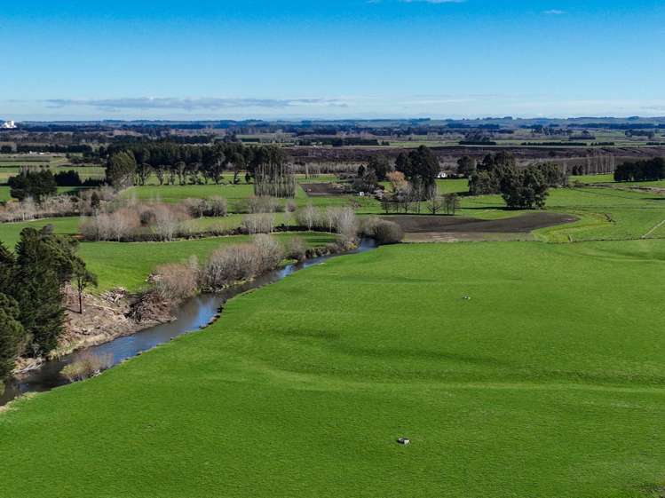 125B Davidson Road Mimihau_21