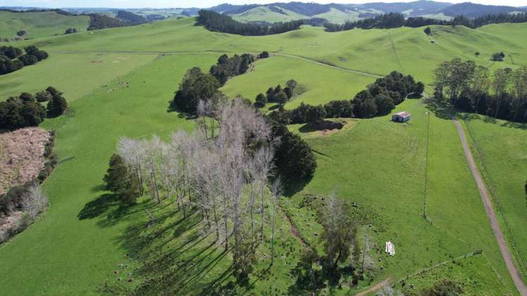 966 Te Ahu Ahu Road Kerikeri Surrounds_3