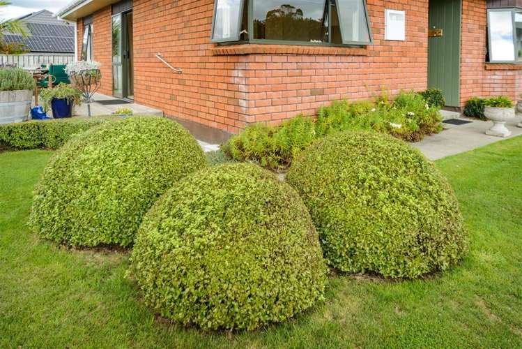 12 Barnett Drive Marton_15