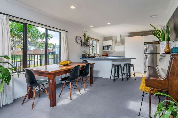 11 Ksenia Drive Flat Bush_6