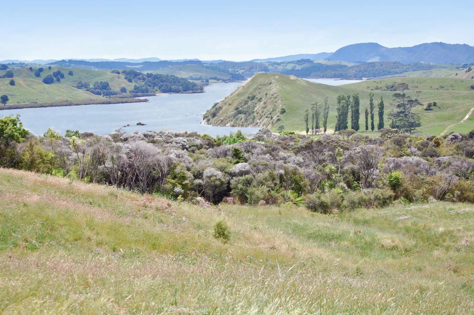 Lot 7 Rangiora Road Kaiwaka_0