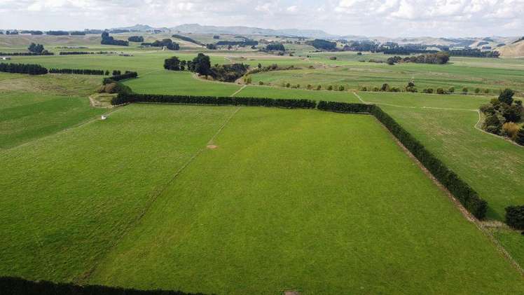 399 Cowper Road Dannevirke_23