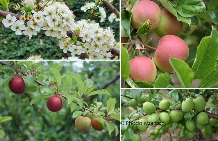 10 Te Pahi River Drive Paparoa_23