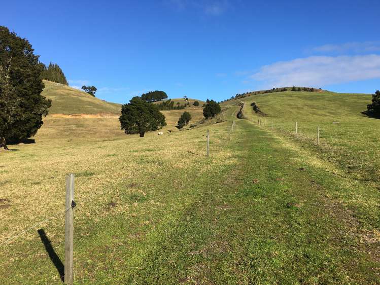 539 Martin Road Kaeo_5