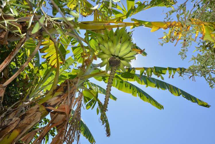 544AA Māhia East Coast Road Māhia Peninsula_17