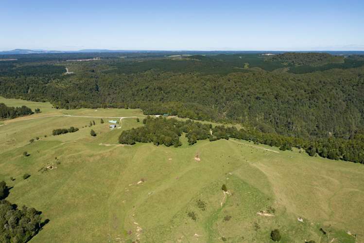 2140 Pyes Pa Road Kaimai_3