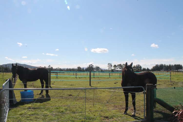 114 White Road Broadlands_15