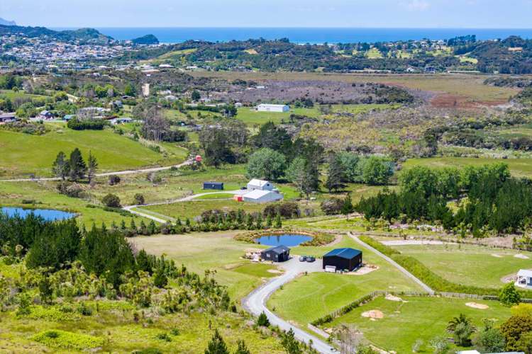 23 Pine Valley Glade Mangawhai_14