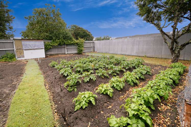 69 Leeston Street Hampstead_18