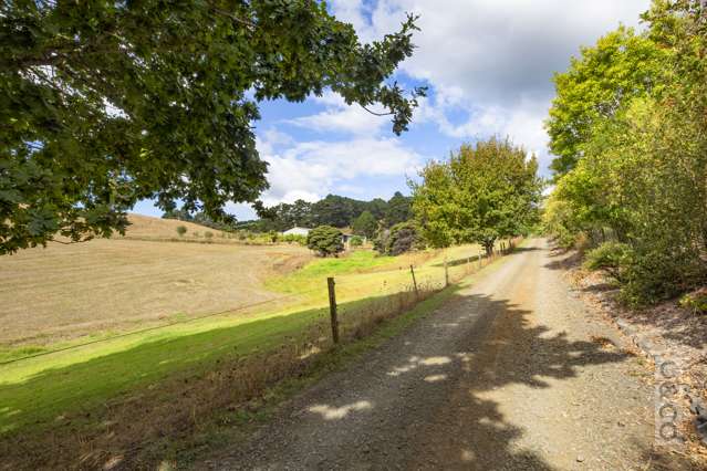 231 Taiapa Road Muriwai_2