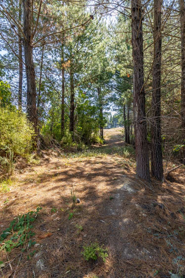 114 Dominion Road Mapua_5