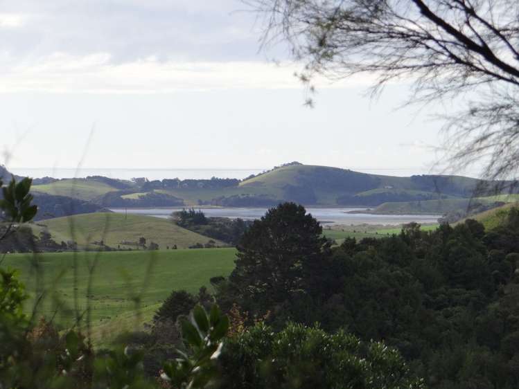 206 Kauri Mountain Road Taiharuru_8