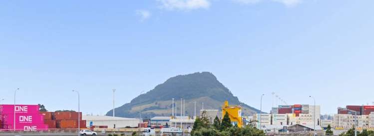 4/52 Cliff Road Tauranga Central_17