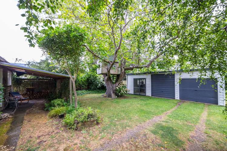 5 Horton Street Greytown_11