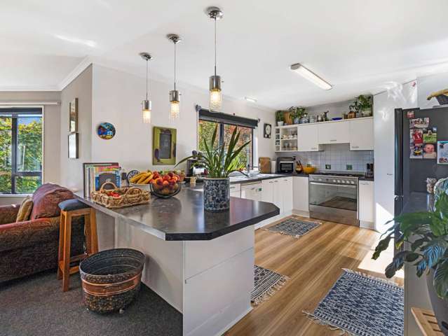 83 West Town Belt Rakaia_3