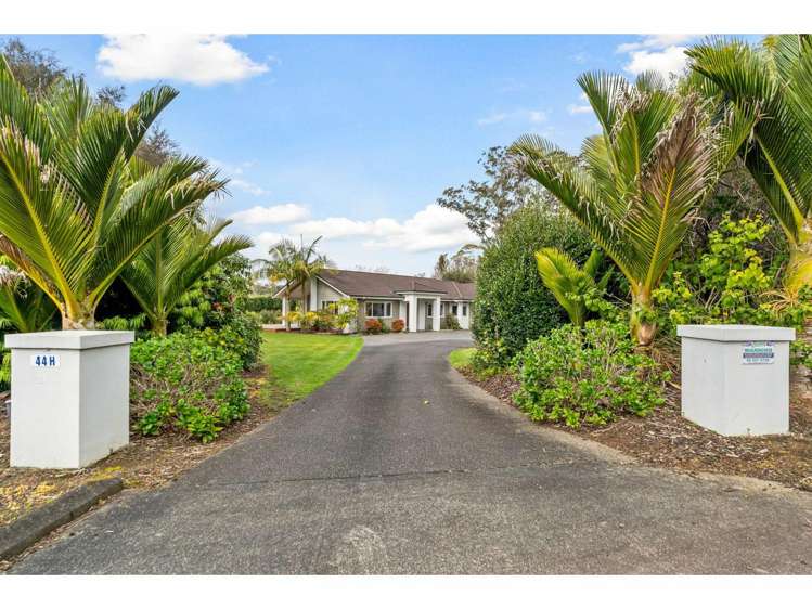 44H Darwin Road Kerikeri_13