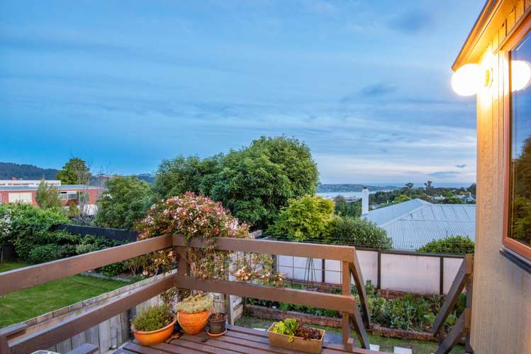 730 Highgate Maori Hill_24