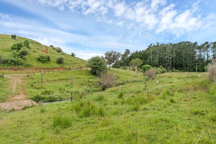 185 Kaipo Flats Road Loop Onewhero_15