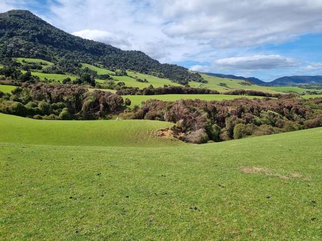 Tahakopa Valley Road Catlins Surrounds_1