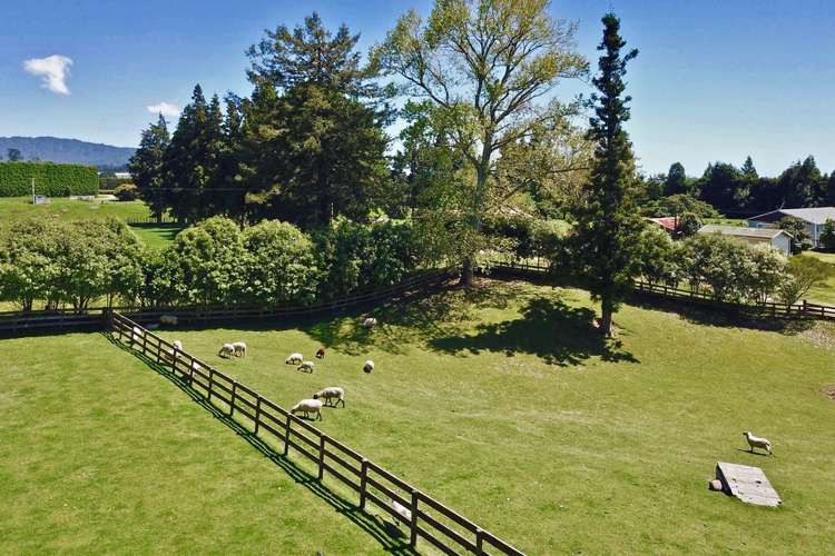 618a Te Matai Road Te Puke_7