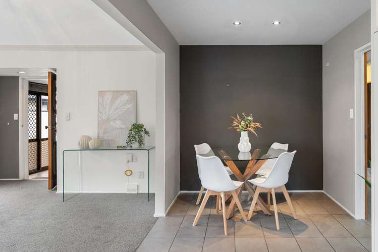 213b Colombo Street Sydenham_12