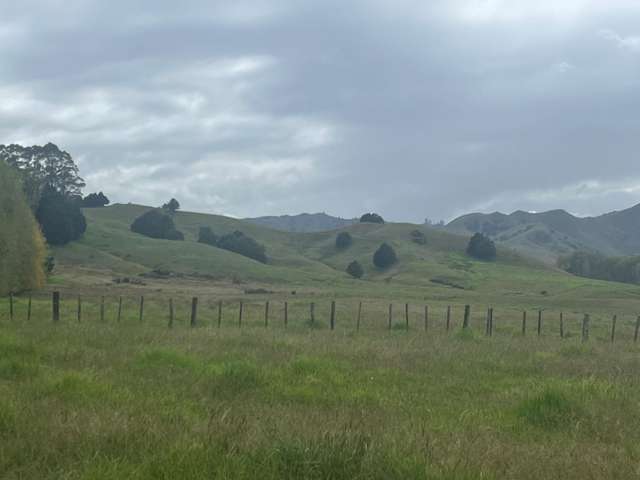 3567 Mangakahia Road Poroti_1