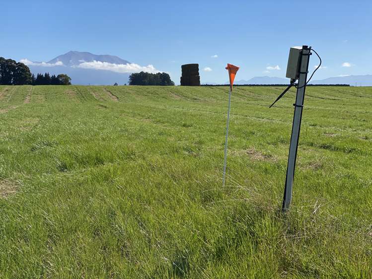 337 Reynolds Road Methven_16