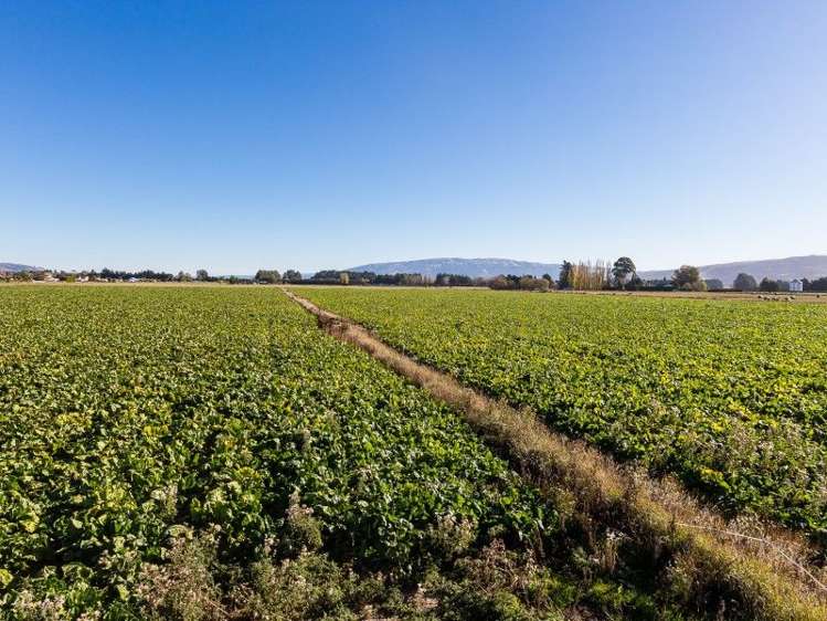 257 Gordon Road Mosgiel_10