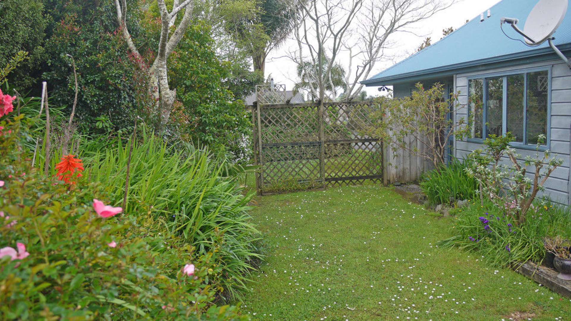 5 Lyttle Lane Warkworth_0