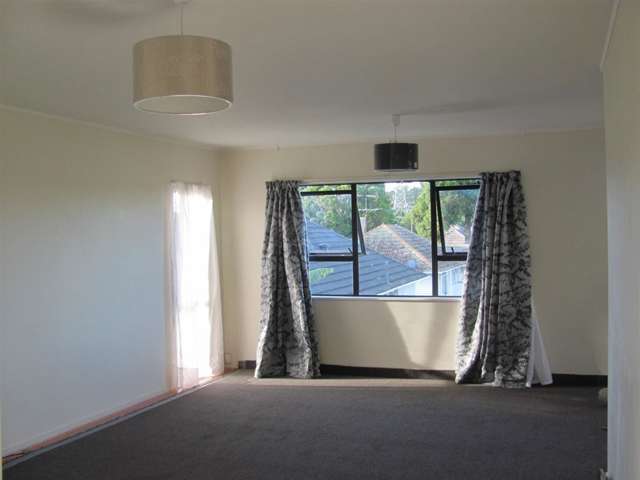 14b Glass Road Mount Roskill_2