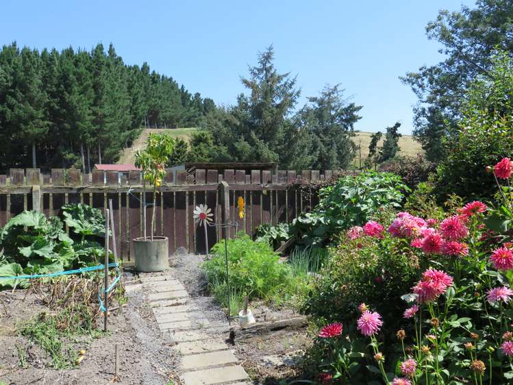 109 Kabul Street Pleasant Point_15