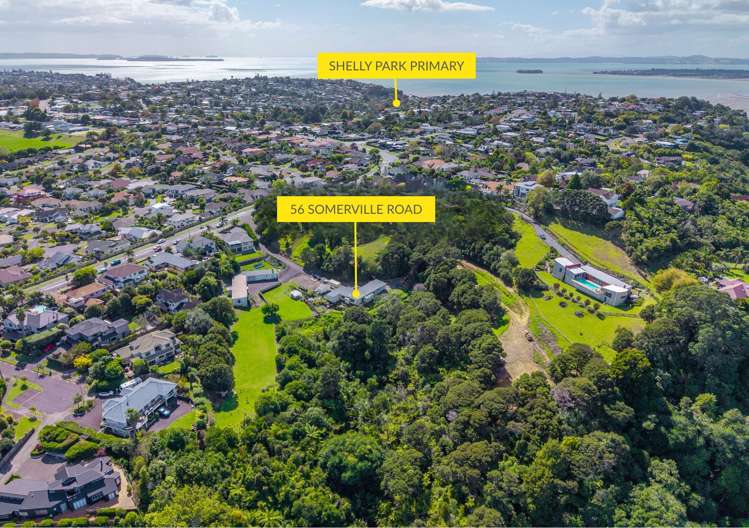 56 Somerville Road Shelly Park_15