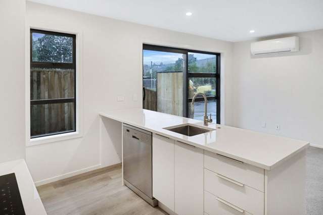  1/92 Oxford Terrace Epuni_3