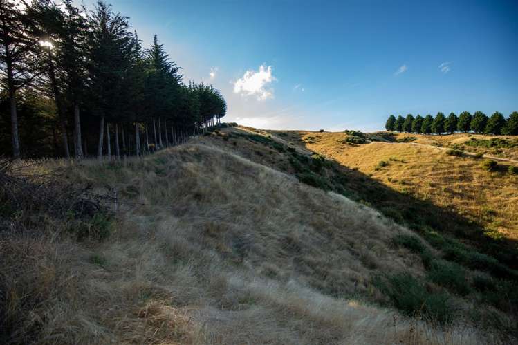 202 Rose Road Upper Moutere_23