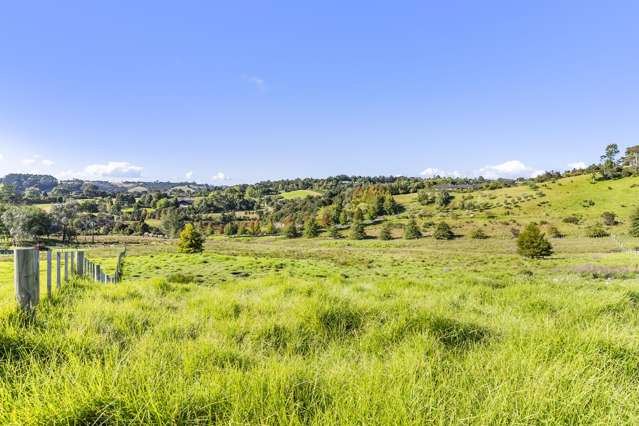 123A Escott Road Dairy Flat_1