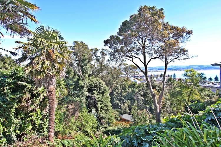 24a Roslyn Road Mount Wellington_7