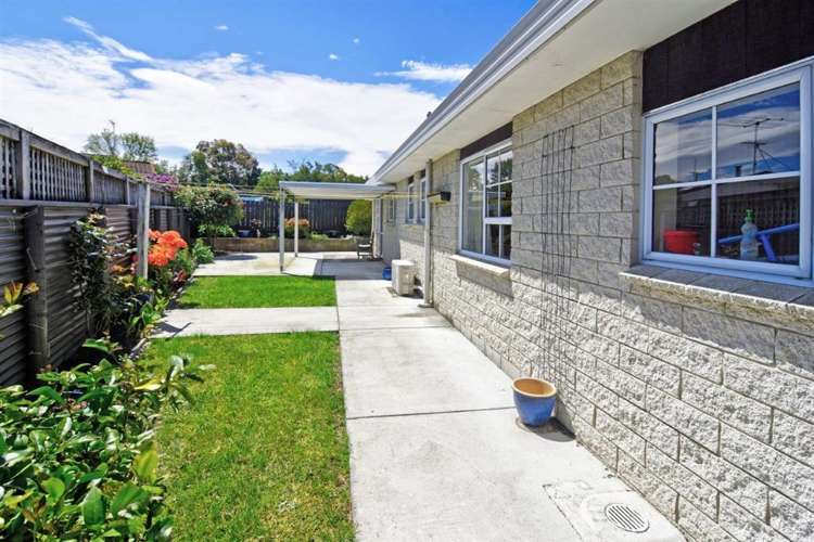 4a Totara Street Masterton_15