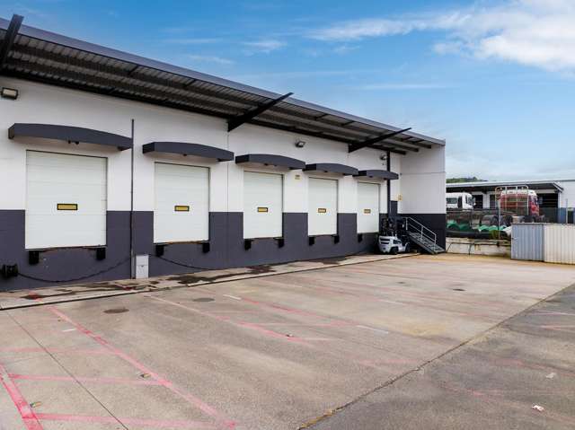 7 Otaki Street South Dunedin_4