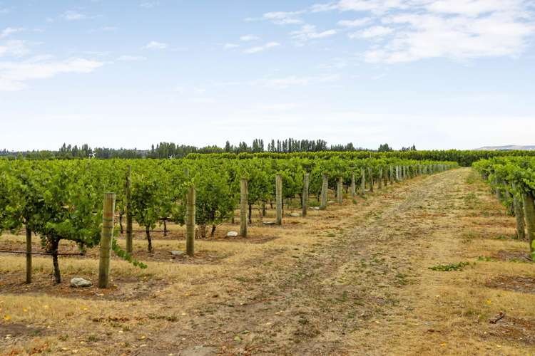 89 McPherson Road, Earnscleugh Alexandra_13