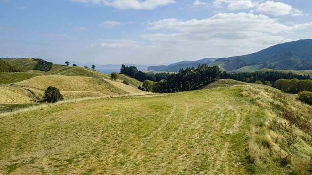 10 Olsen Pl Kinloch_4