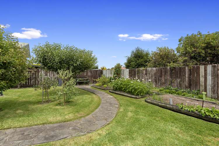 41 Clarke Avenue Te Aroha_16